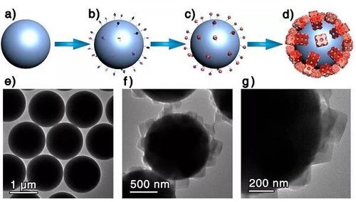 齐岳生物 β-环糊精改性SiO₂微球、壳聚糖微球与多壁碳纳米管的定制化生物基材料新进展