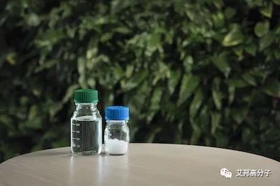 科莱恩首次推出生物基塑料添加剂 迈向绿色塑料新纪元