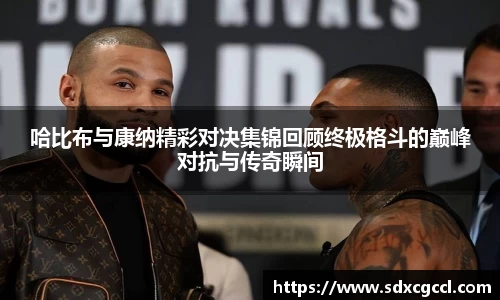 哈比布与康纳精彩对决集锦回顾终极格斗的巅峰对抗与传奇瞬间