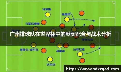 广州排球队在世界杯中的默契配合与战术分析