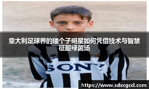 意大利足球界的矮个子明星如何凭借技术与智慧征服绿茵场