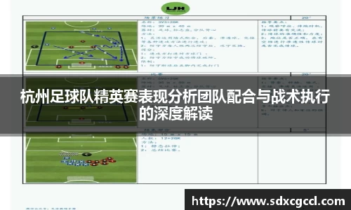 杭州足球队精英赛表现分析团队配合与战术执行的深度解读