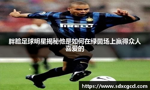 胖脸足球明星揭秘他是如何在绿茵场上赢得众人喜爱的